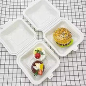 6x9 Enodelna ameriška plastična škatla za kosilo za enkratno uporabo